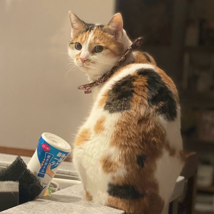 6ac77e26 f33f 4364 8365 ec89a443eac7 1738402570497