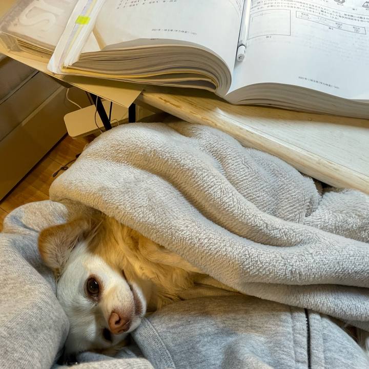 6ac794f6 bb4b 45db 8222 e7701633dd6a 1706098671654