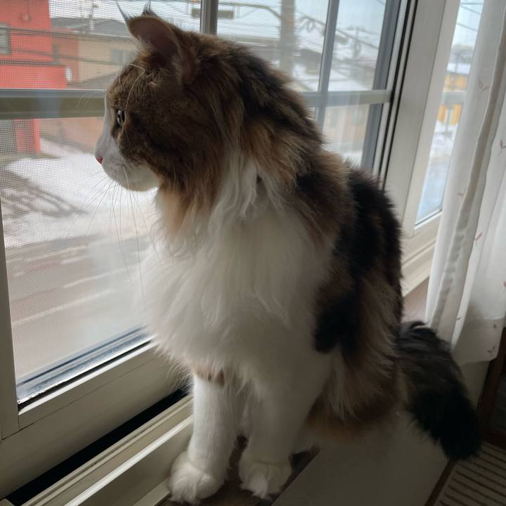 6ac7c677 4a9c 4eb3 a297 8970983e5153 1644645188441