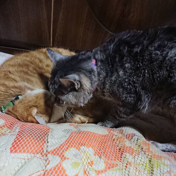 6ac7c871 c2fb 413d baf5 4df5ac899cde 1580560535608