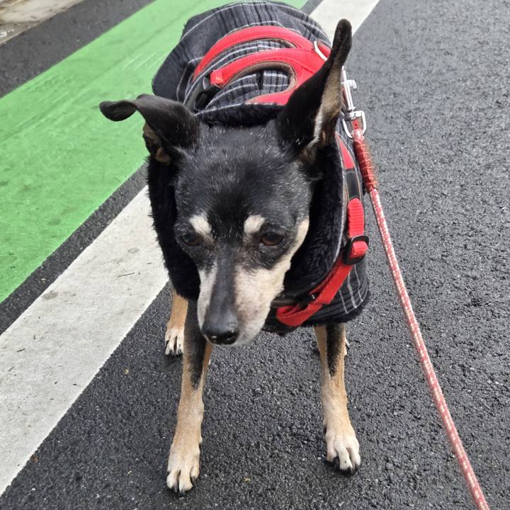 6ac7ce08 e7bd 4a99 964d 2f18ddb50c24 1766622984127