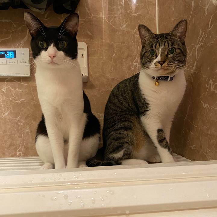 6ac8072c c976 4fa3 a6d0 58b605182465 1697209950436