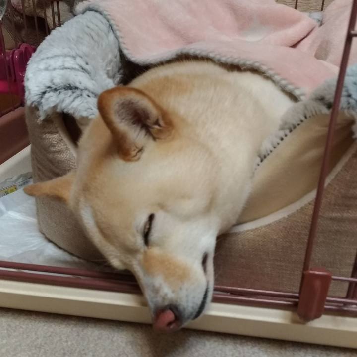 6ac8149f c60b 4f5d 8267 30d823a65a75 1581423856686