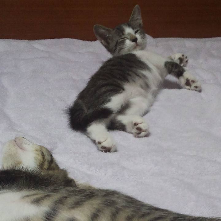 6ac85451 6de1 412e a2fd 6aad339a1518 1611845726572