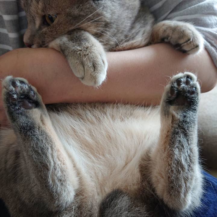 6ac87df9 997a 46e5 8dcf bc1b564f8be8 1561079633131