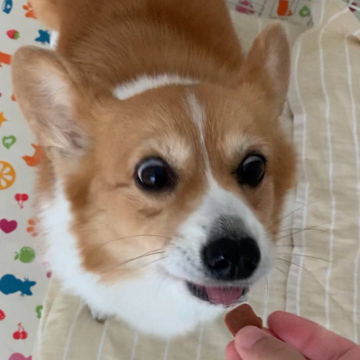 6ac8915a 40b6 4830 8bd0 f4241118c90f 1664601858237