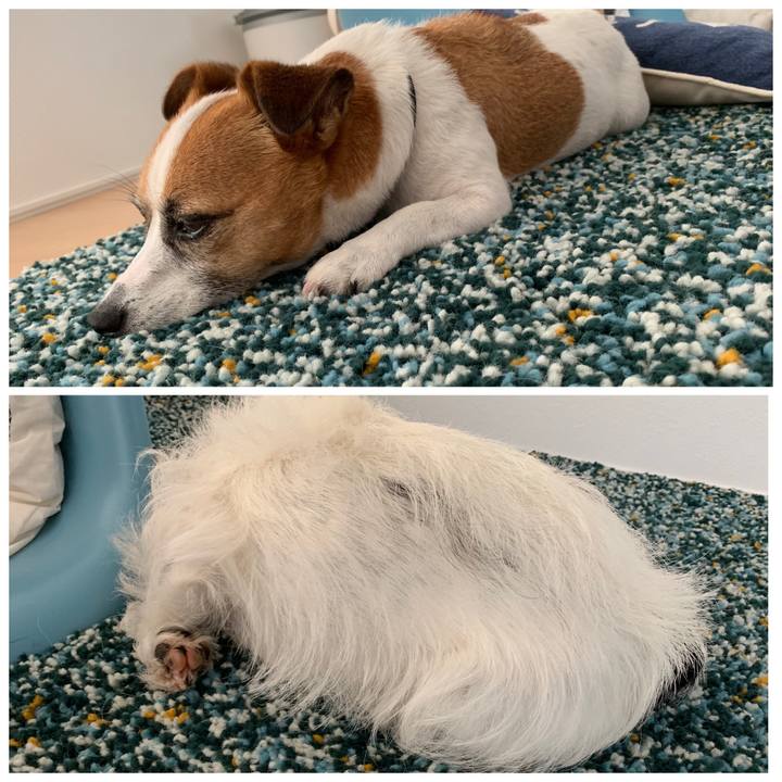 6ac8d1cf f018 40b0 9d0a 490cd94c119f 1568266017170