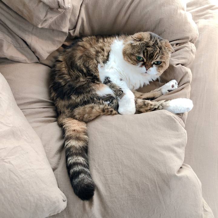 6ac8e707 6697 4670 91ef 07a939032162 1590284563501