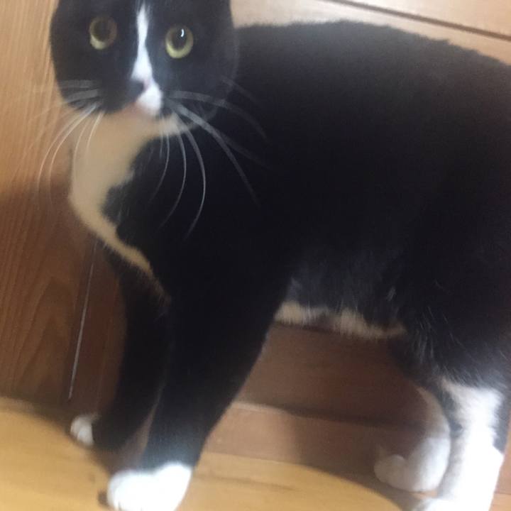 6ac928ff cc55 4965 999d 8bfc44e36826 1518606415755