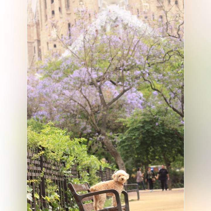 6ac98c35 00da 4034 afdc 3d61d4b4e66b 1528215109527