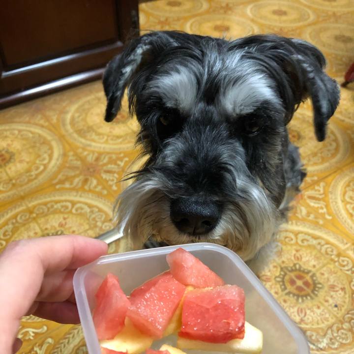 6ac98e50 1016 42c3 9ba4 2b89a81e3fe5 1651331059979