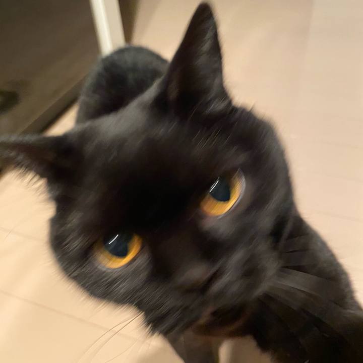 6ac9a2a9 acb5 4d46 831d d8405f10c06e 1743338987406