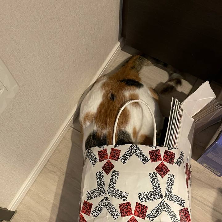 6ac9a443 28fc 45b2 8127 75a1e4dc19c2 1629001871211