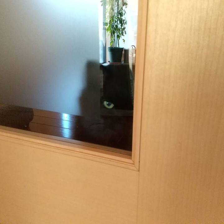 6ac9d6b5 edbb 4bfc a001 4bab6bce81e3 1581980566508