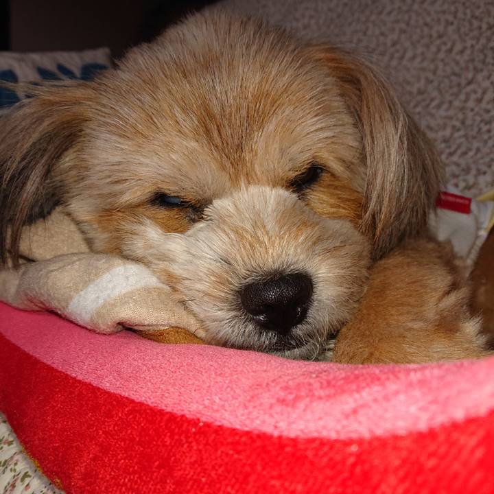 6ac9df7d 93f8 46bd a907 d118b654c46e 1612449986296