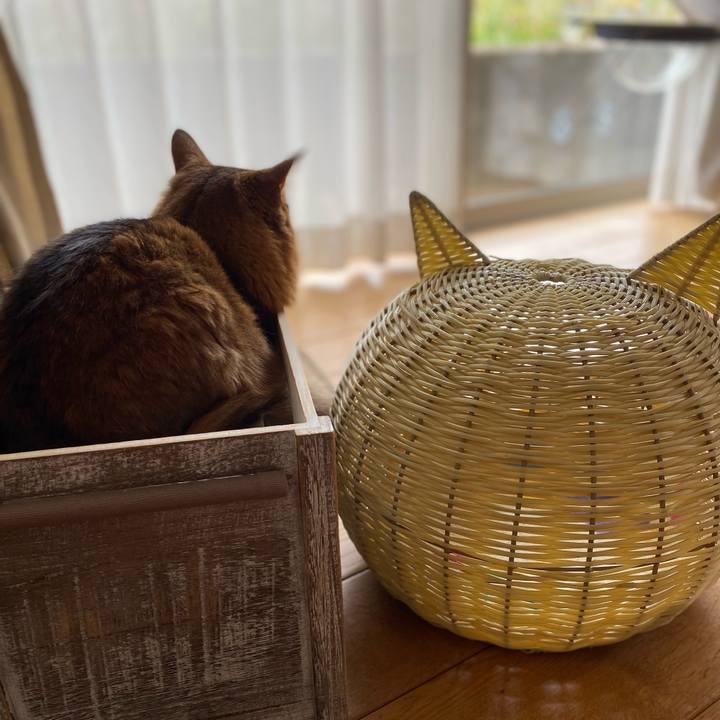 6ac9e787 8018 4495 9085 1676d20c0540 1680913745922