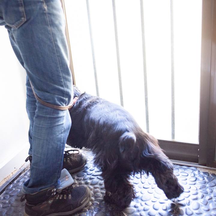 6ac9ec2d 4426 4428 bafc d0f1af4e189d 1552479512417