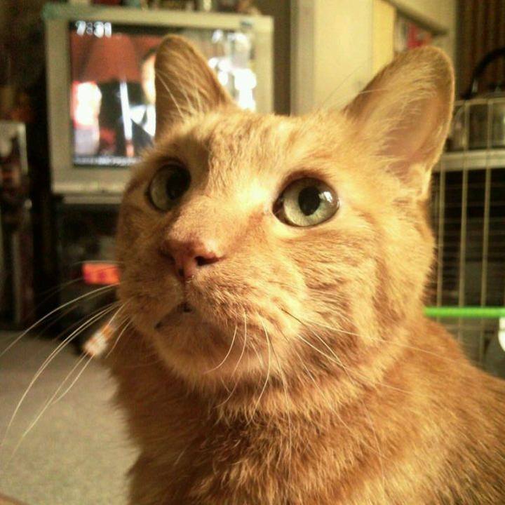 6ac9ee39 17a3 4925 8005 fdeeac41f5d4 1682843497011