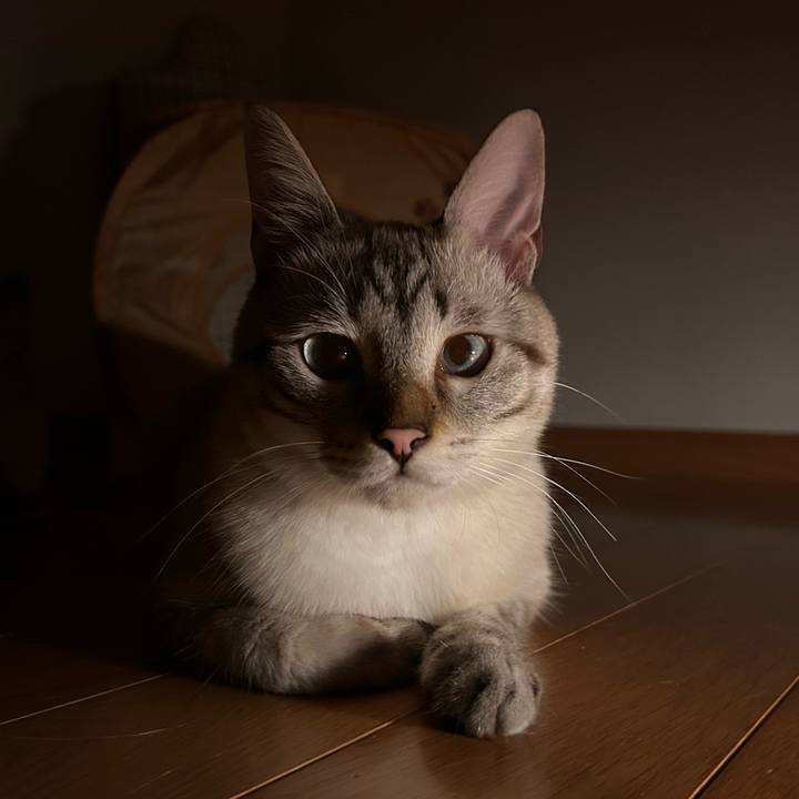 6aca46b3 19d9 4eff b338 6e72304000bb 1752590670435