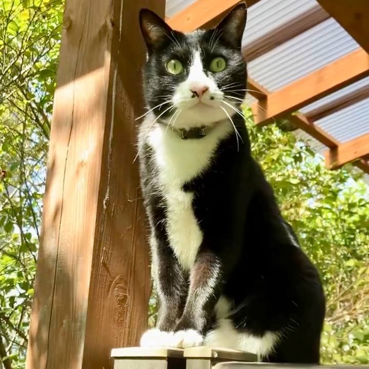 6aca5074 0de2 43a7 b407 bf0855d4b918 1743904492277