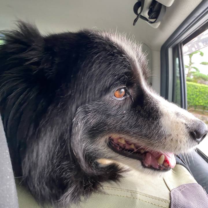 6acaf361 f4f8 4638 bcba 26a8db0607aa 1660429446618