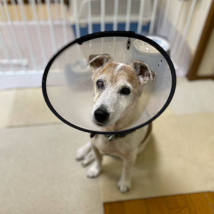 6acb1a19 38eb 4b9c aa54 8ac0f520c7cf 1667342387652