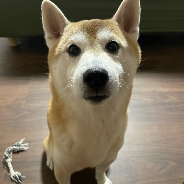 6acb2c55 edf0 4d41 b752 2918c9b1da00 1701349429547