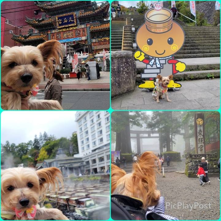 6acb96a0 ca7b 4e5d b712 7a9beb3c8ba9 1668332992153