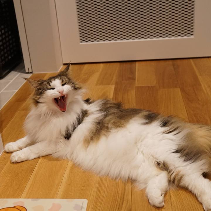 6acbc776 81b4 4587 8e27 1d0afa5ab49d 1558956065842