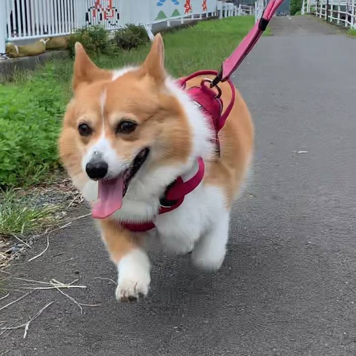 6acbf0e1 19c3 4578 bbcb 2612149c5df9 1658794370357