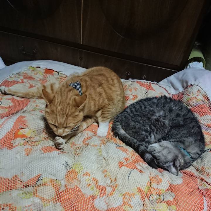 6acc08c4 0525 4fa6 8d75 119aefcd5bb3 1572612748801