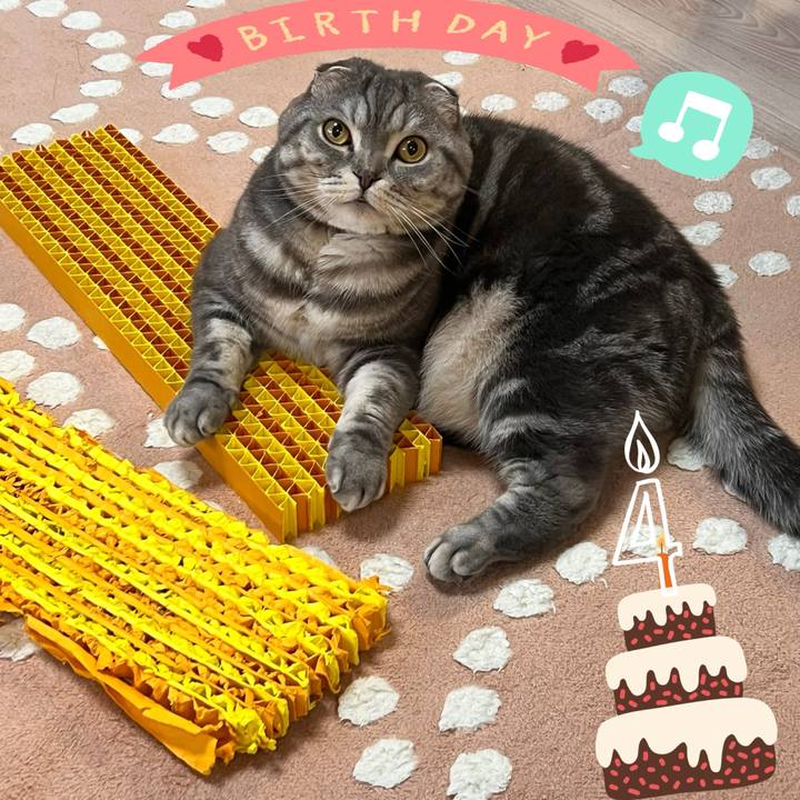 6acc3018 199d 4619 a821 53c9ad1c08e1 1703332719252