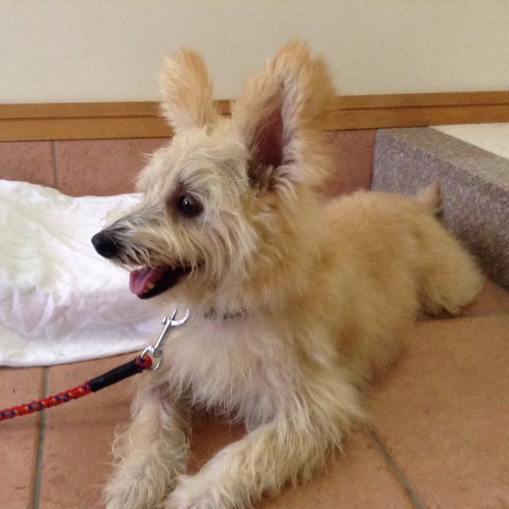 6accd526 1e9b 4899 a02b ad1cd88042f9 1534379466075