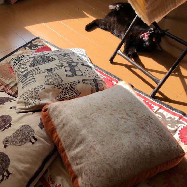 6acd44b2 56db 46e9 a108 a6975b0a7969 1540896521543