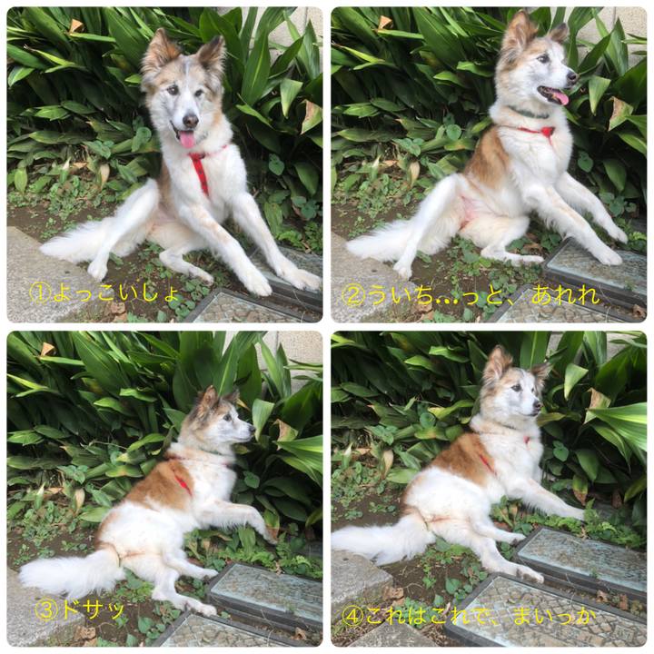 6acd5eee 67a4 43ab ac31 981454ffd9d8 1540294032632