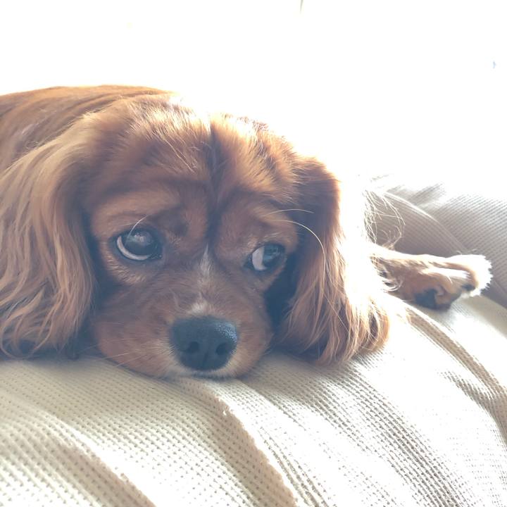 6acd81b2 fdae 4a00 b19f 2aa789c70a8c 1600090952880