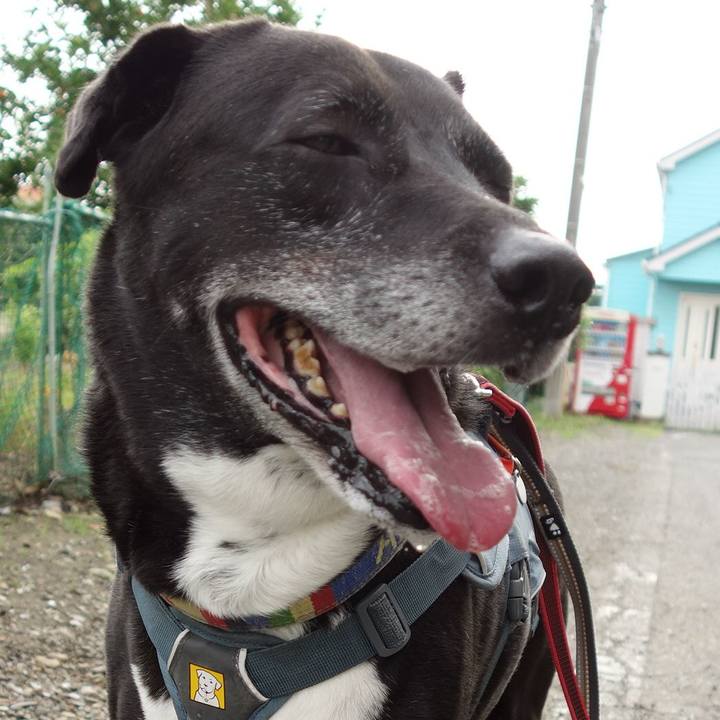 6acdb3e5 144d 47e5 95a9 ecc2df184693 1719705467028