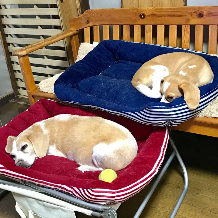 6acdc12c 4873 40c9 97ce 75b577a255c9 1567691998885