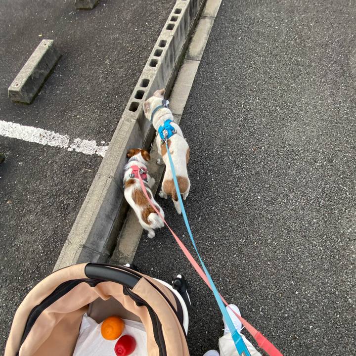 6acdf3f7 bc9e 4372 8ffc 82648c0b21cf 1731016479820