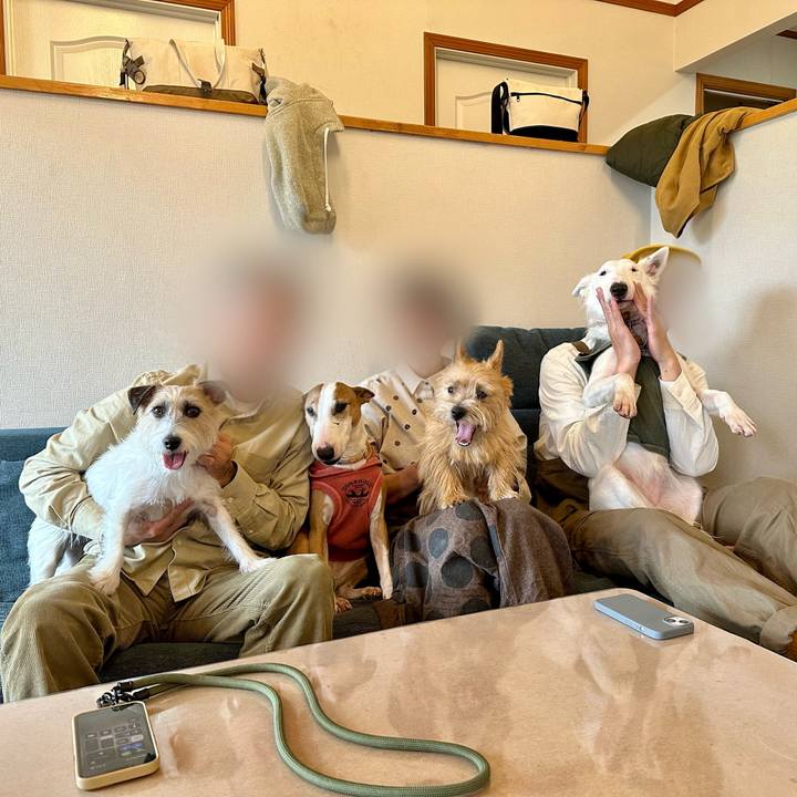 6ace1186 4222 4e79 9d45 1084702b476f 1730699715943