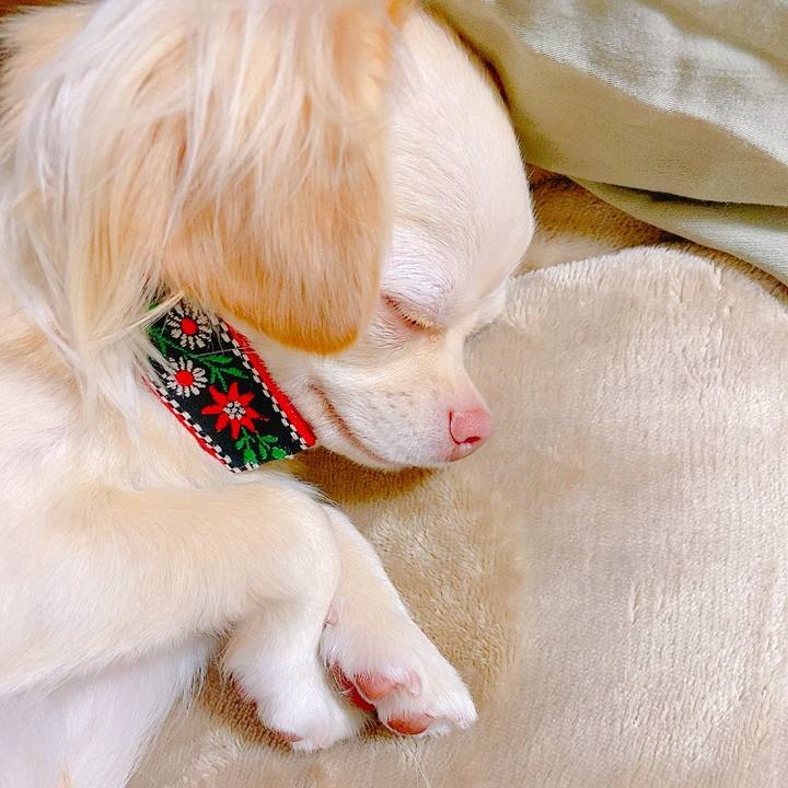 6ace2347 39cf 4482 85dd f6de95ef8a53 1627044313326