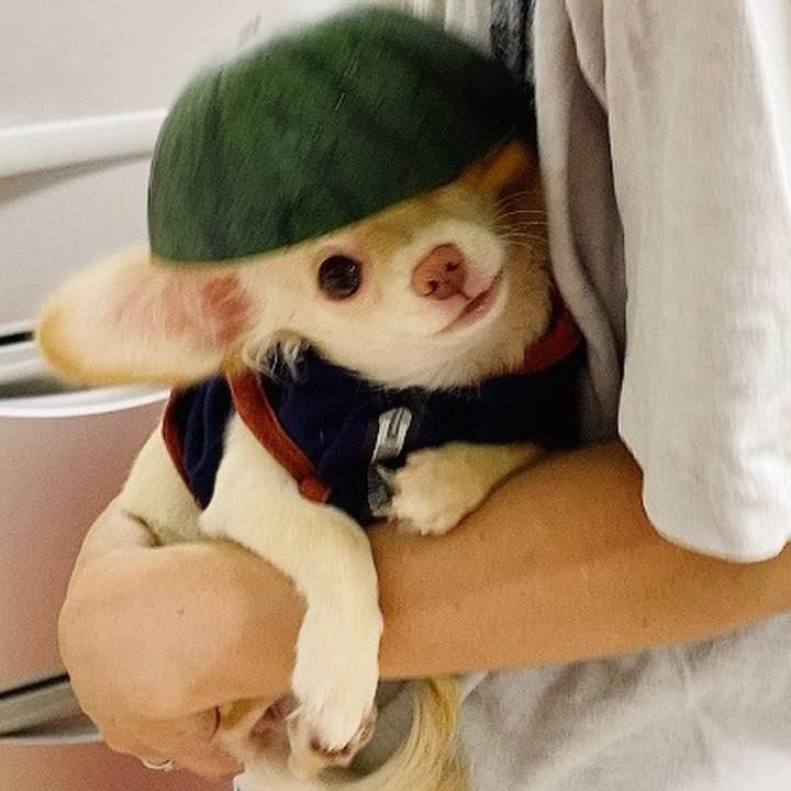 6ace56cb 351a 49d9 b46f 9fc25aeb7105 1595078276518