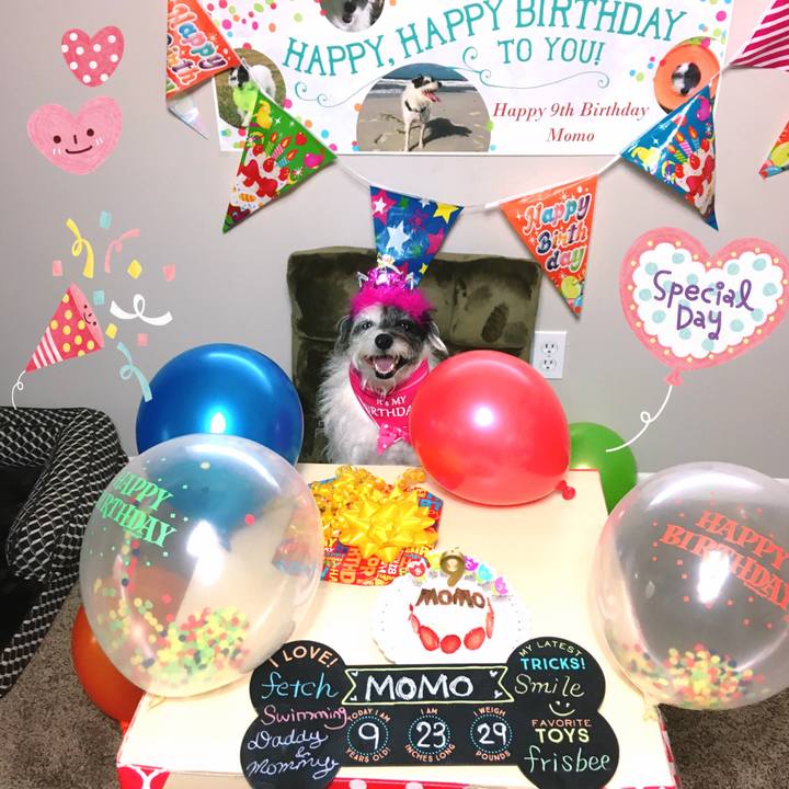 6ace9fc3 f1a5 4c9e 8b3c 8a1fef984641 1581460029714