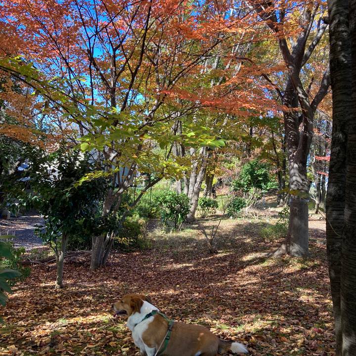 6aced122 ab1f 4ae7 b759 aebe206f99c9 1732765568355