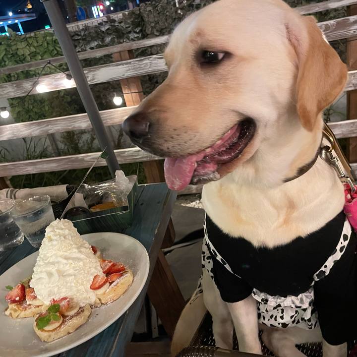 6acee9e2 8494 4e8f 98dc 3491d0160c64 1663067153912