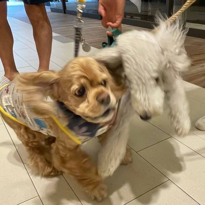 6acf2e2f e249 4c00 a994 f9eadaf5bfea 1658044400024