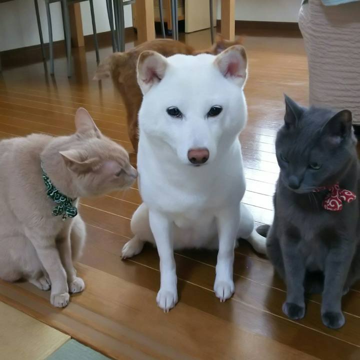 6acf3ff7 eae1 483b 9ff9 4917eee88dfc 1531183161852