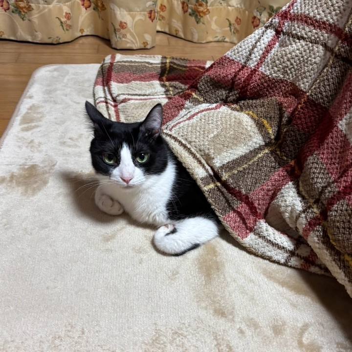 6acf61e0 dee3 415d a4d5 221f77fffe46 1761956352650