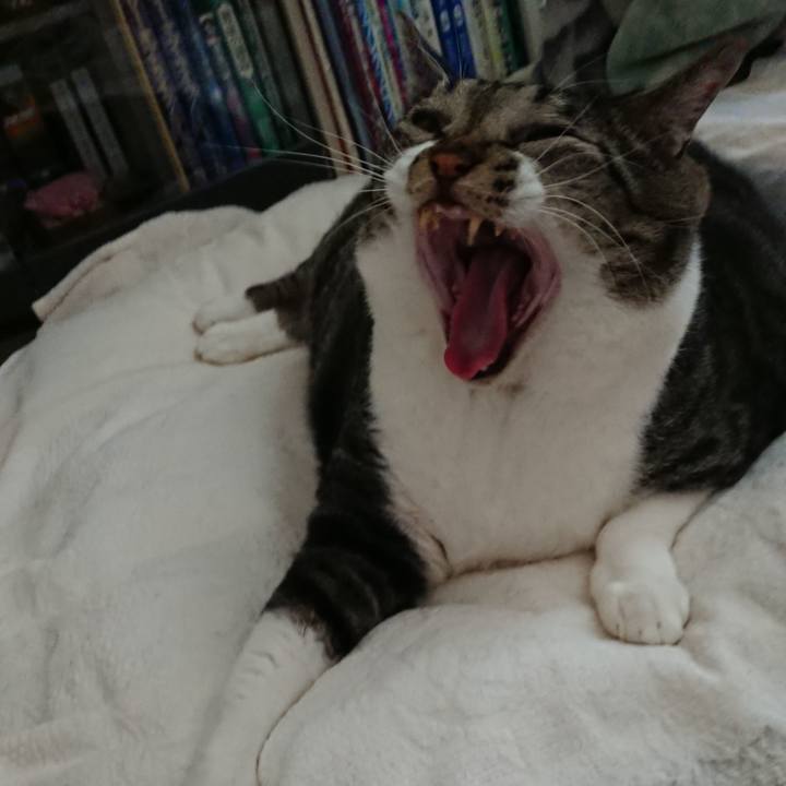 6acf62c0 95ea 4c2f b750 0f2332234c0c 1569049676665