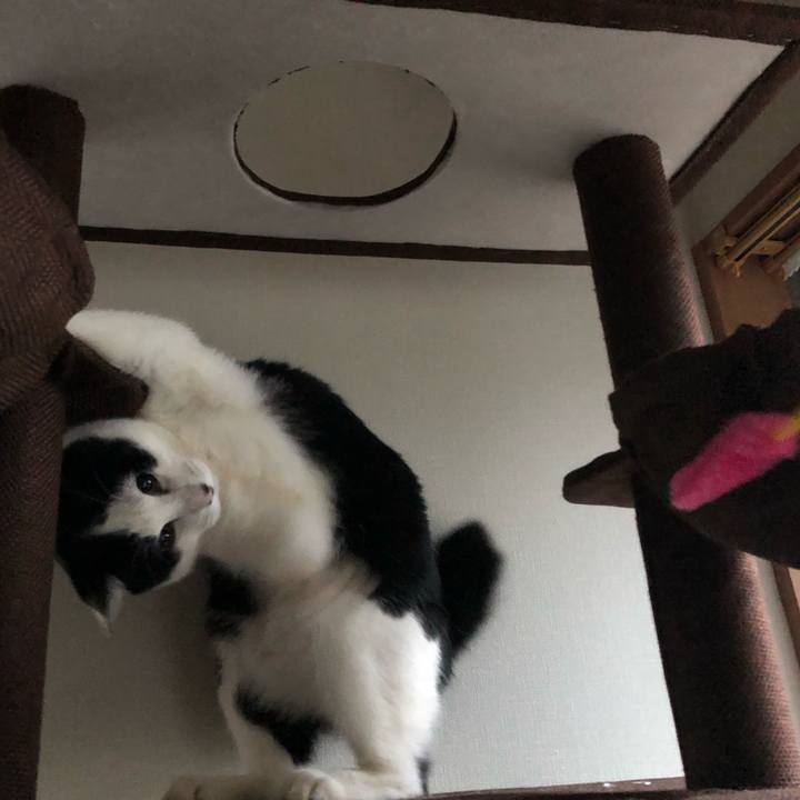 6acf6546 0e6c 42c9 a09e c24b1f7465ff 1546760544539